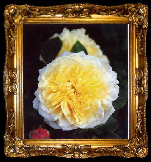 framed  unknow artist Still life floral, all kinds of reality flowers oil painting  351, ta009-2